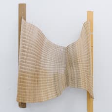 Anne-Mette Schultz