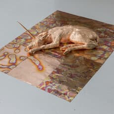 Dimitris Gketsis