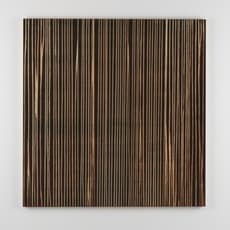 Callum Innes