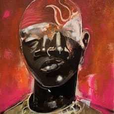 Devin B. Johnson