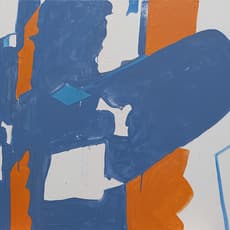 Koen van den Broek