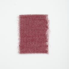 Anina Brisolla