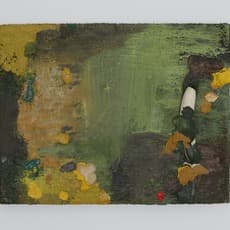 Rafael Bueno