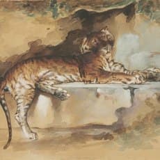 Rosa Bonheur