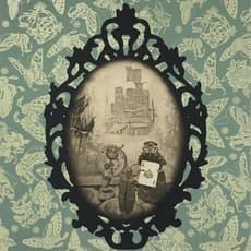 Jennifer Angus