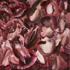Carine Bovey