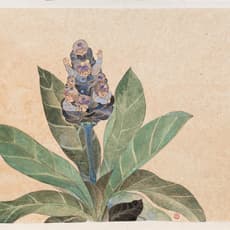 Chen Wen-Li