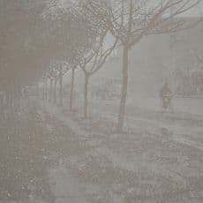Luo Mingjun
