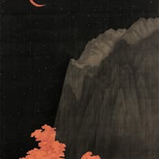 Zuo Xiaokang