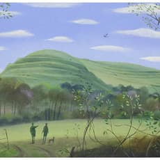 Nicholas Hely Hutchinson