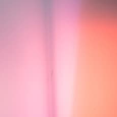 Clare Anne Patrick