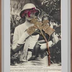 Lien Botha