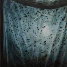 Tangting Li