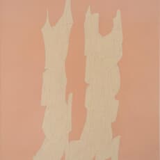 Shan Wu