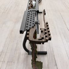 Anne Libby