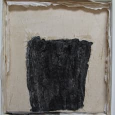 Lin Yan