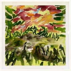 Carol Skinger