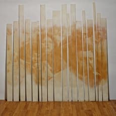 Graciela Sacco