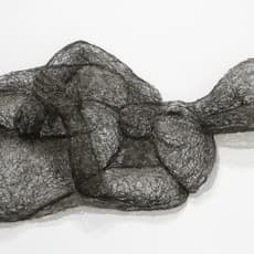 Sophie Ryder