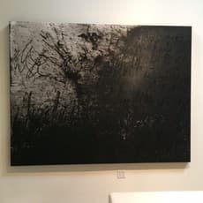 Daniel Diaz-Tai
