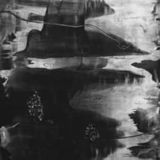 Christopher Cook