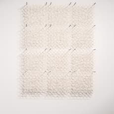 Brian Caponi