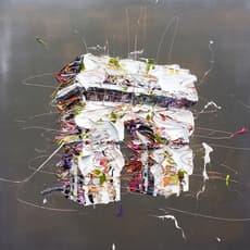 Shigeru Nishikawa