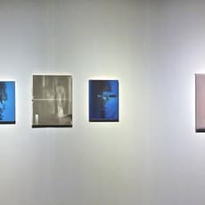 Alfredo Rodriguez
