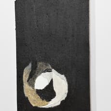 Sonya McAlister
