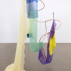Lara Fluxà
