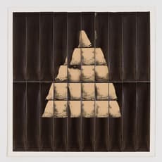 Jared Bark