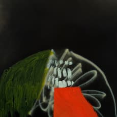 Michael John Kelly