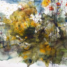 Andy Yang