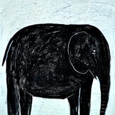 Indra Dodi