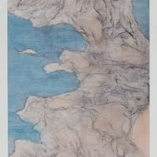 Wang Shaoqiang