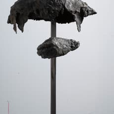 Ofer Lellouche