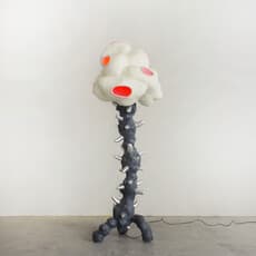 Lukas Saint-Joigny