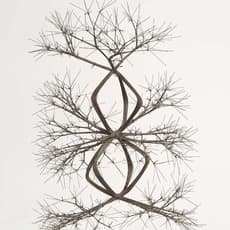 Ruth Asawa