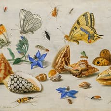 Jan van Kessel