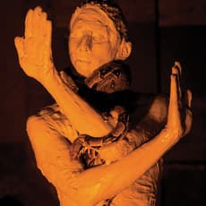 Ben Hagari