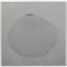 Pinaree Sanpitak