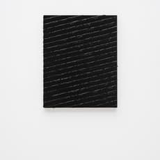 Tom Wilmott