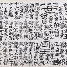 Tsang Tsou Choi King of Kowloon