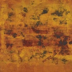 Vasudeo S. Gaitonde
