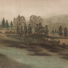 Yuan Qiao