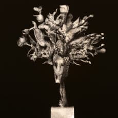 Anna-Karin Brus