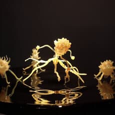Goldie Poblador