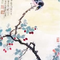 Zhang Yanyun