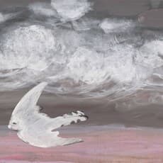 Huang Qi-You