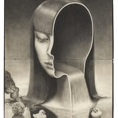 Miles Johnston